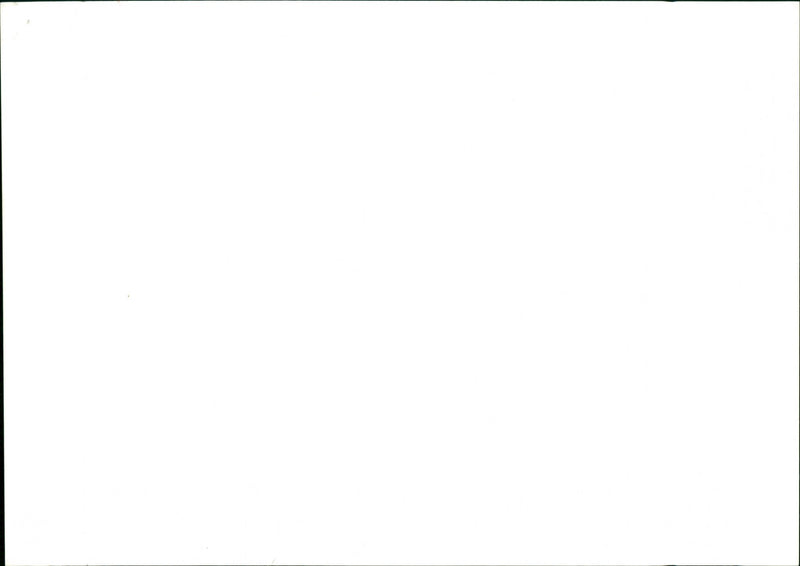 Harrods - Vintage Photograph