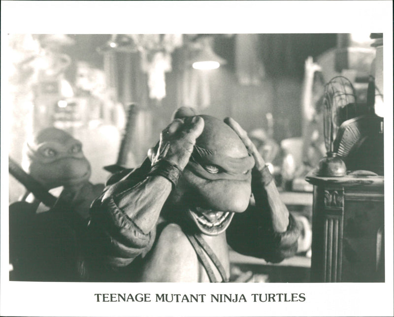 Teenage Mutant Ninja Turtles - Vintage Photograph