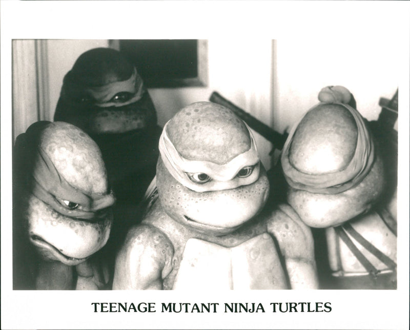 Teenage Mutant Ninja Turtles - Vintage Photograph