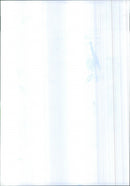 Miss World Julia Kurochkina with Claire Smith and Francis Gago. - Vintage Photograph