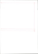 Joyce Carol Oates - Vintage Photograph