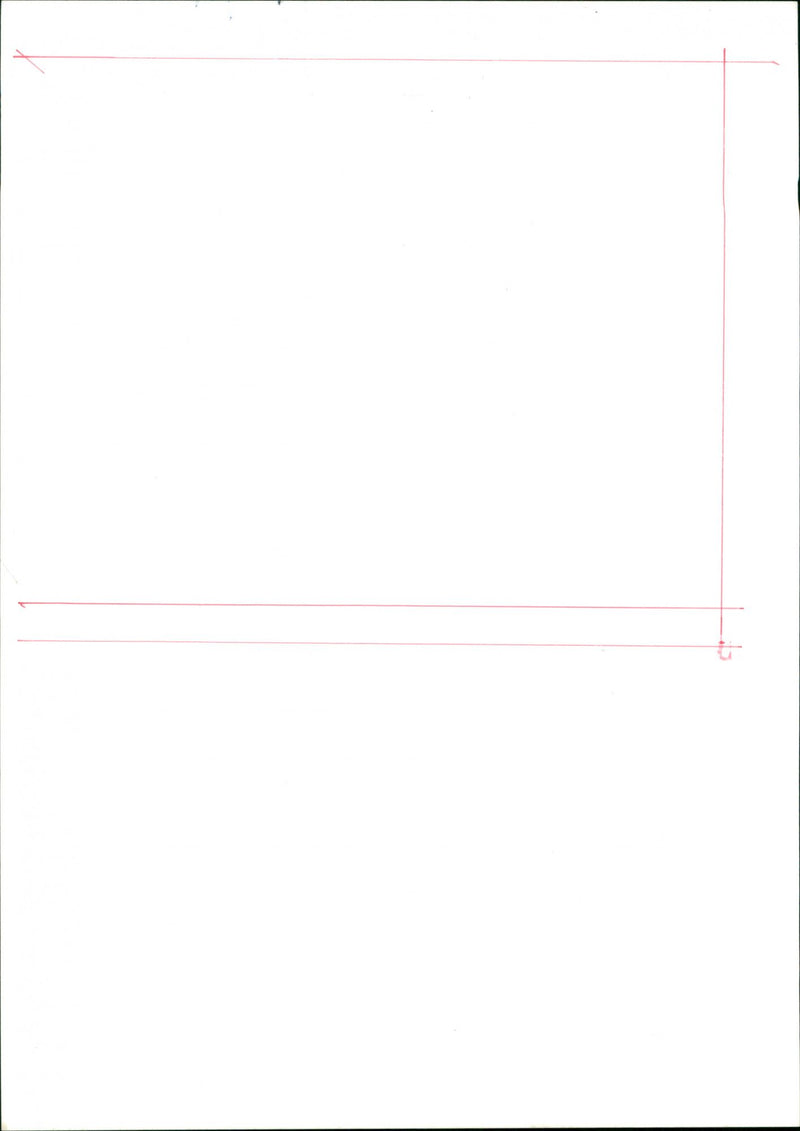 Joyce Carol Oates - Vintage Photograph