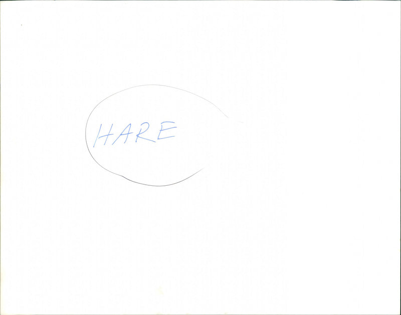 Hare - Vintage Photograph