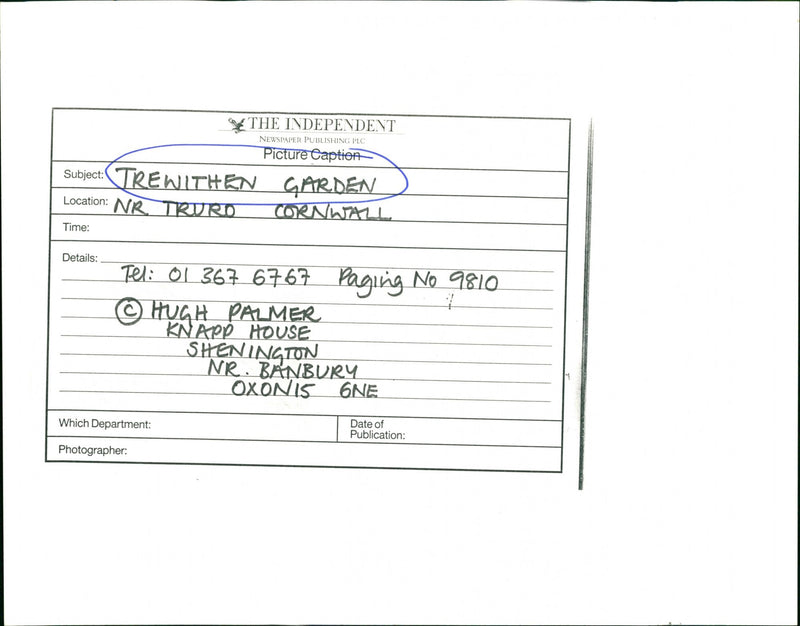 Trewithen Garden - Vintage Photograph