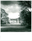 Trewithen Garden - Vintage Photograph