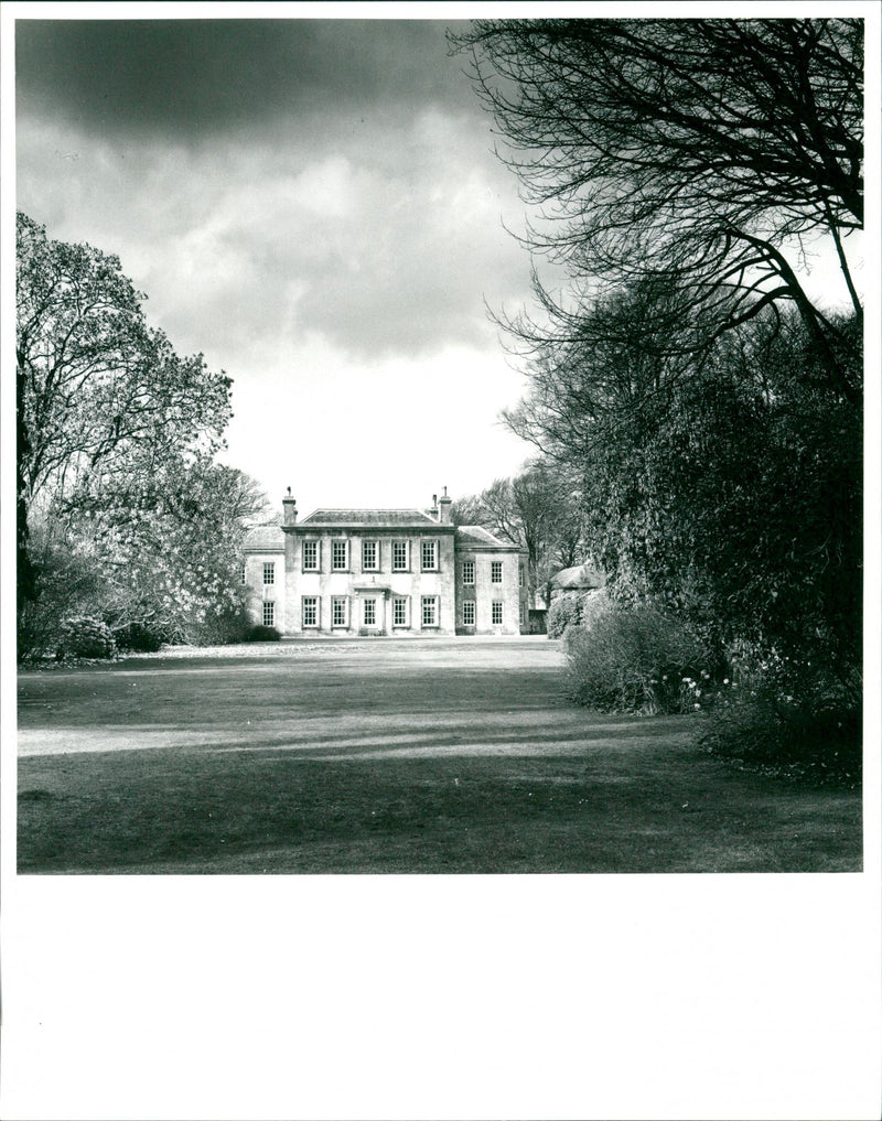 Trewithen Garden - Vintage Photograph