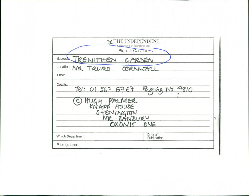 Trewithen Garden - Vintage Photograph