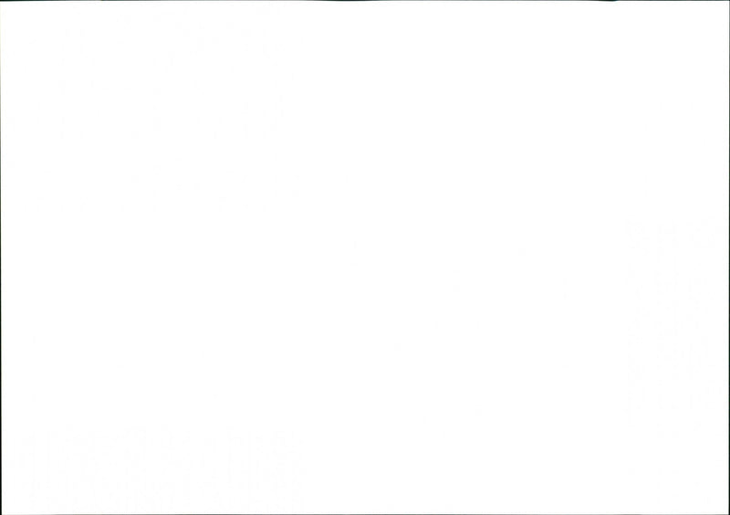 Tropical Fish - Vintage Photograph