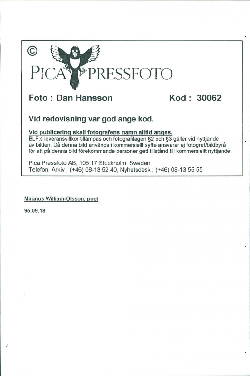 1995 TELEPHONE SWEDEN RESPONSIBLE IMAGE POET WILLIAM MICHAEL - Vintage Photograph