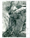 Trench - Vintage Photograph