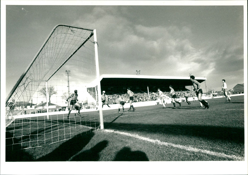 Haig Avenue - Vintage Photograph