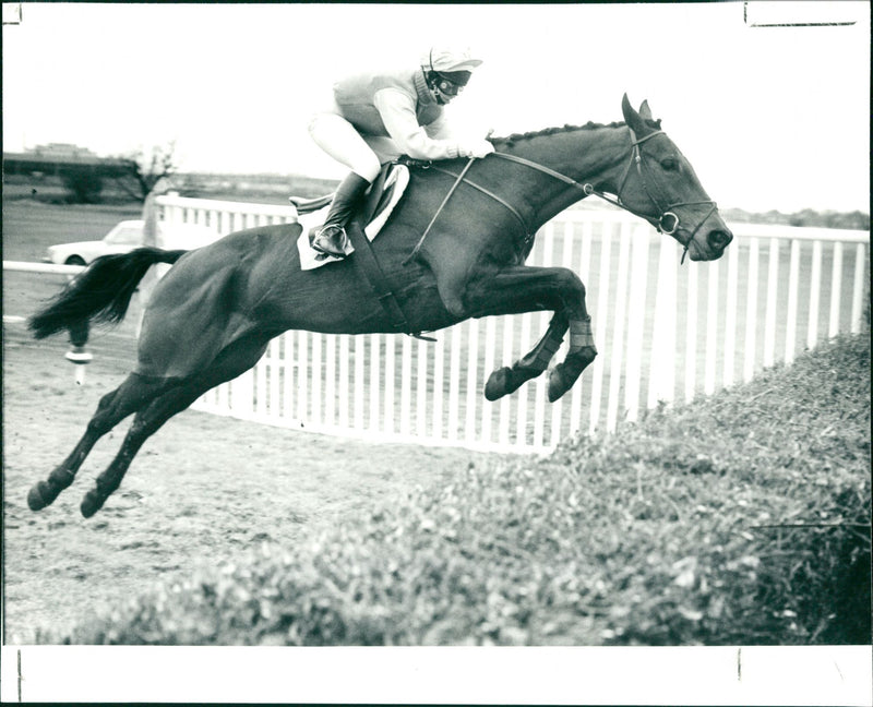 J. J. Henry - Vintage Photograph