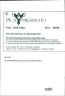 Olof Johansson, Politician - Vintage Photograph