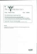 Olof Johansson, Politician - Vintage Photograph