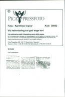 Olof Johansson, Politician - Vintage Photograph