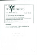 Olof Johansson, Politician - Vintage Photograph