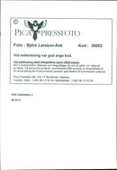 Olof Johansson, Politician/Speaker - Vintage Photograph