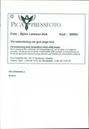 Olof Johansson, Politician/Speaker - Vintage Photograph