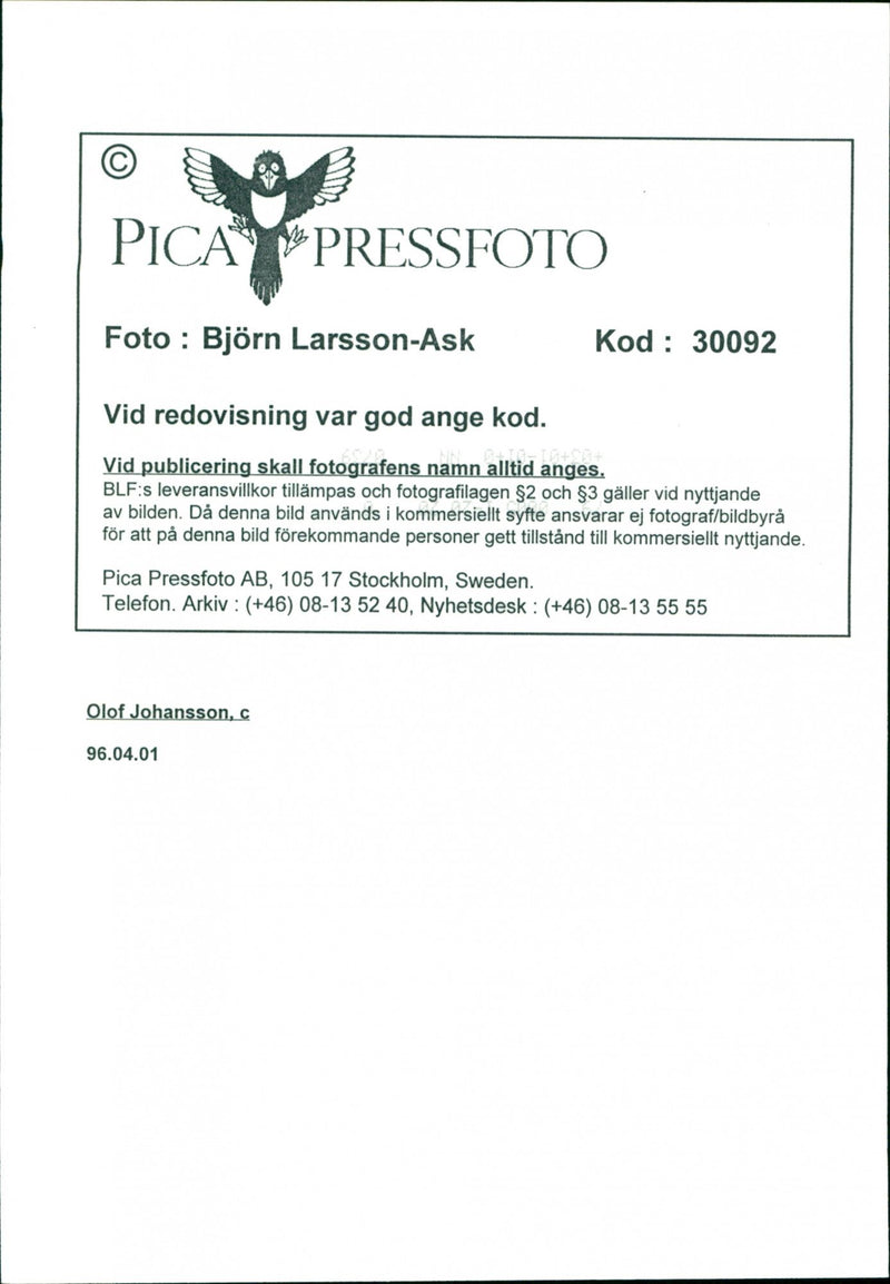 Olof Johansson, Politician/Speaker - Vintage Photograph