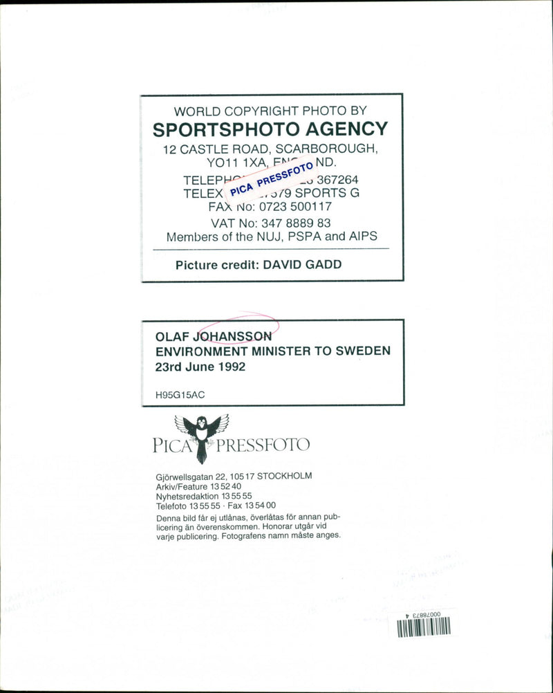 Olof Johansson, Politician - Vintage Photograph