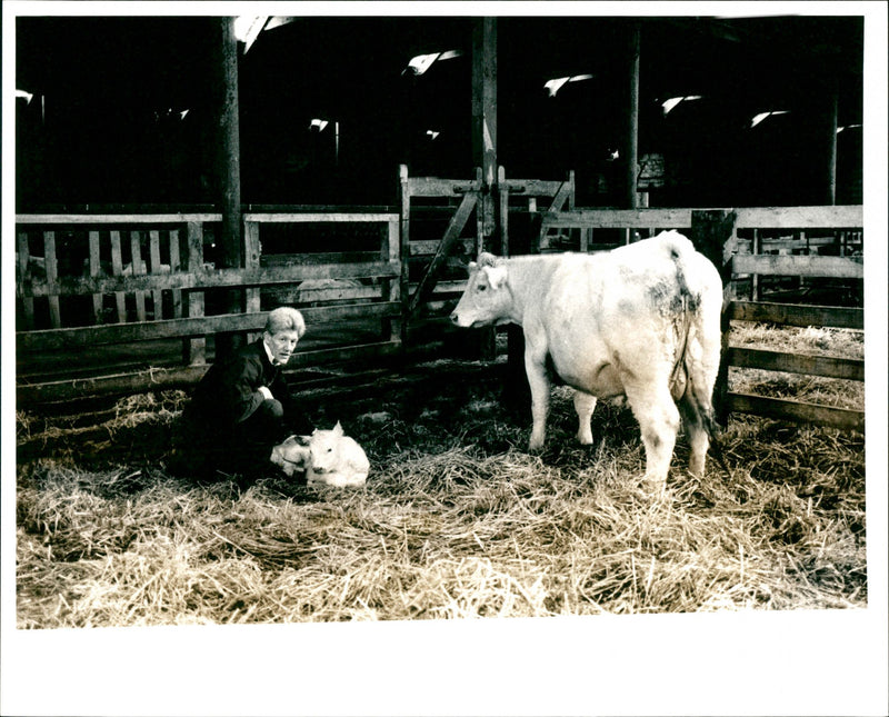 John Jeffrey - Vintage Photograph