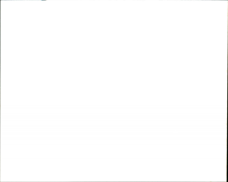 Strawberry - Vintage Photograph