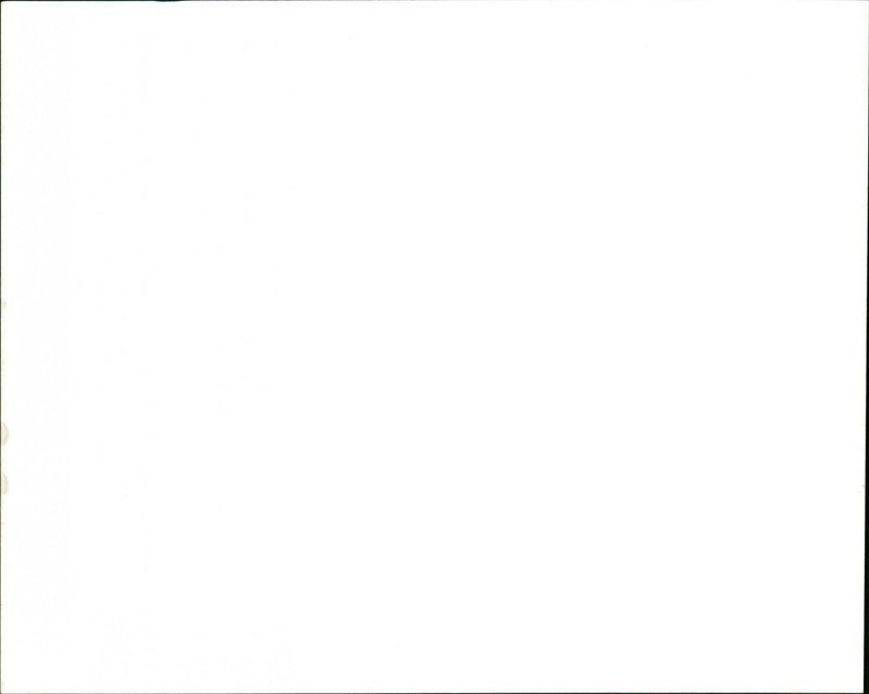 Elderberry - Vintage Photograph