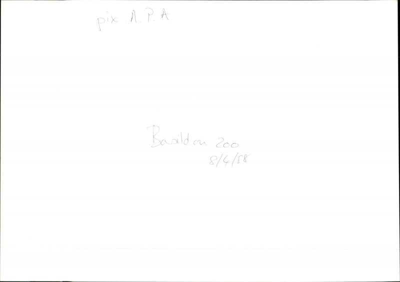 Basildon Zoo - Vintage Photograph