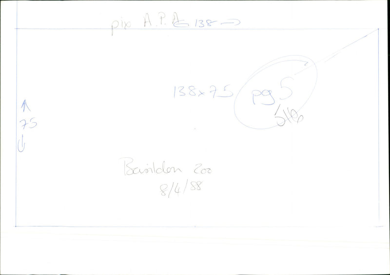 Basildon Zoo - Vintage Photograph