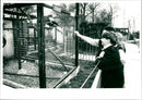 Basildon Zoo - Vintage Photograph