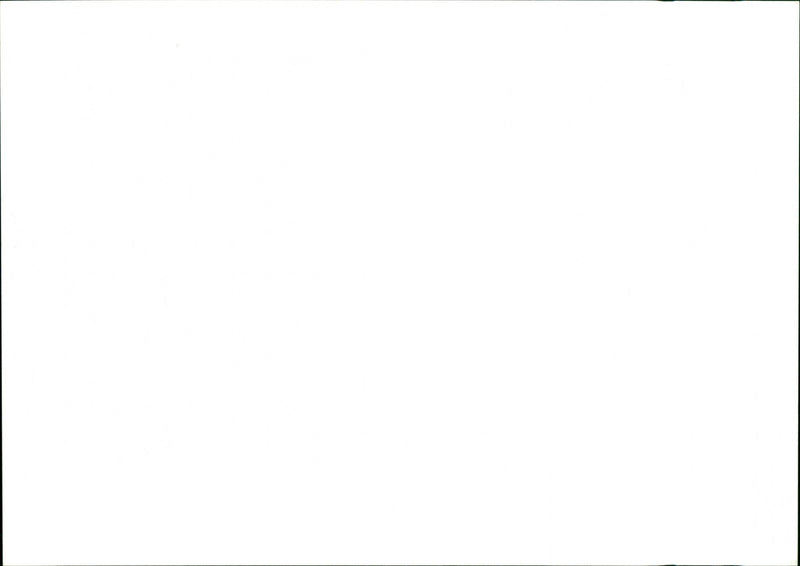 Bird Watching - Vintage Photograph