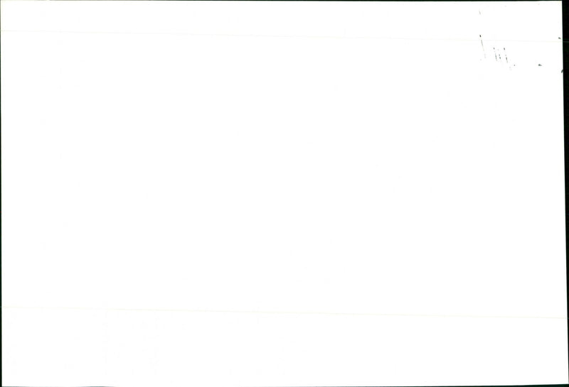 Mumbles - Vintage Photograph