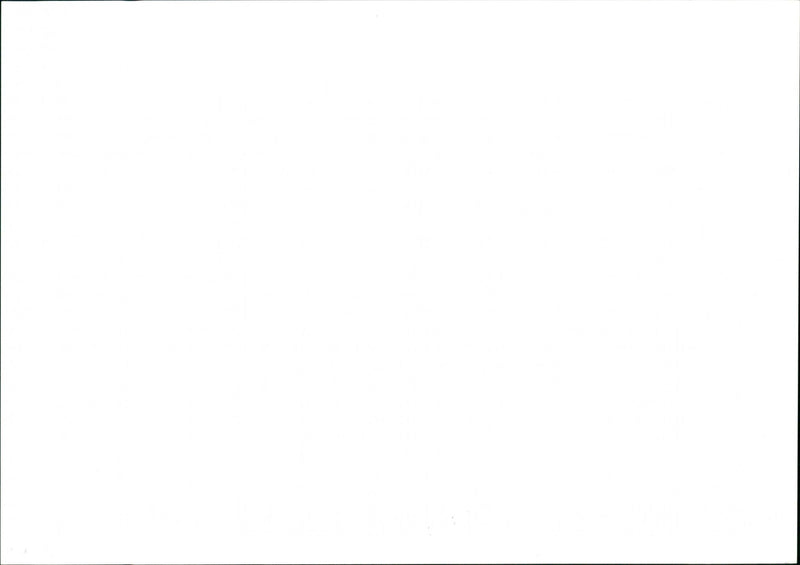 London Zoo - Vintage Photograph