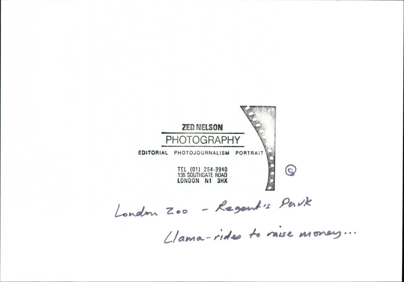 London Zoo - Vintage Photograph