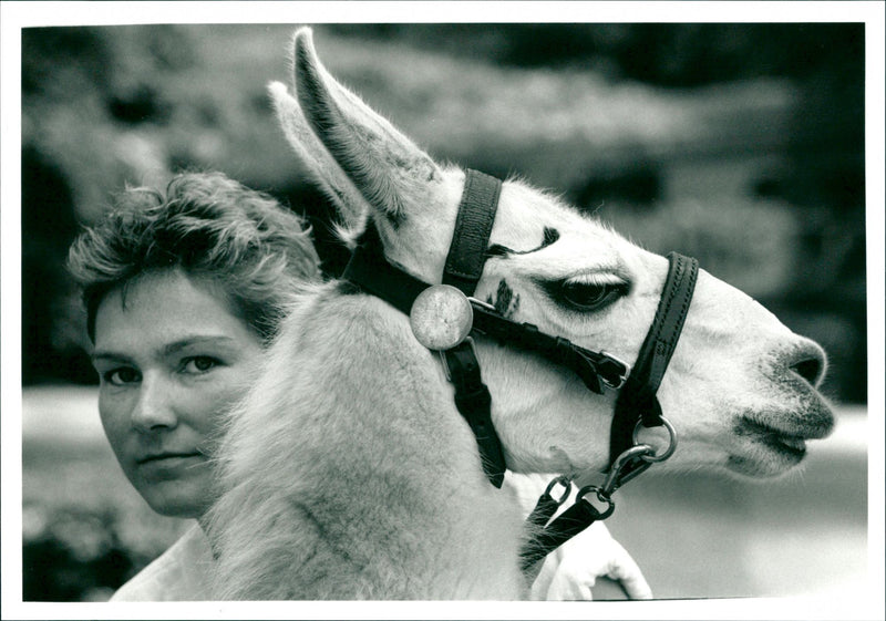 London Zoo - Vintage Photograph