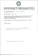 Sports Audience - Vintage Photograph