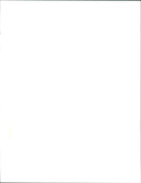 Nelson Mandela 1993 - Vintage Photograph