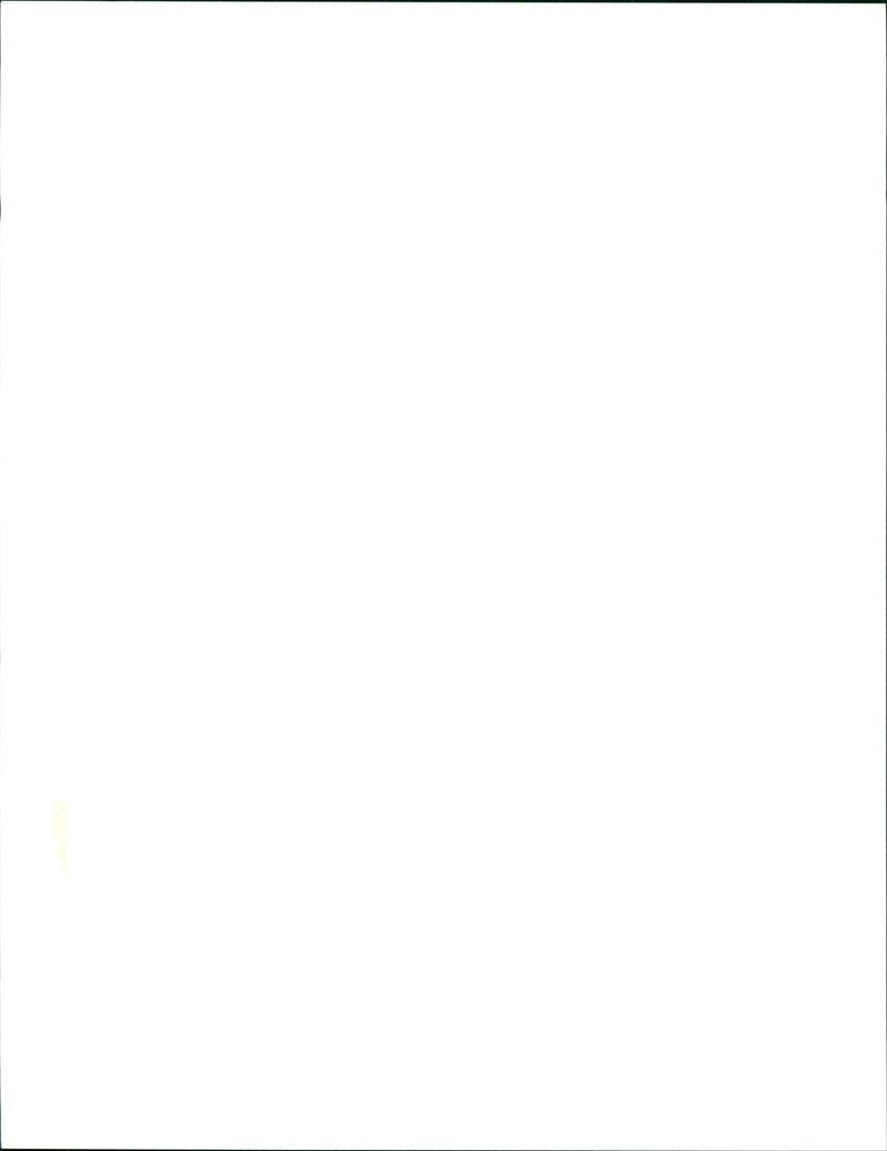 Nelson Mandela 1993 - Vintage Photograph