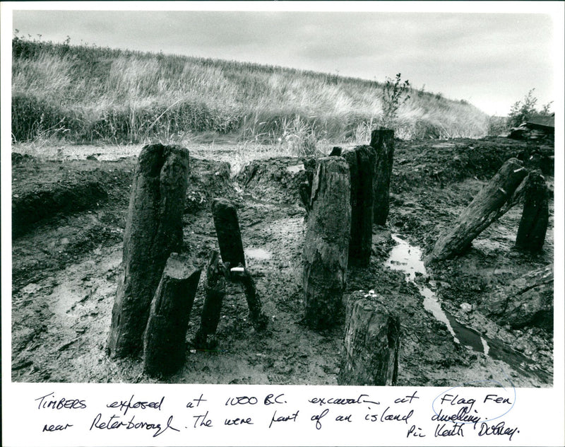 Flag Fen - Vintage Photograph