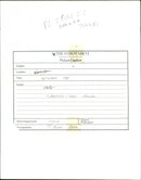 Flamingoes - Vintage Photograph