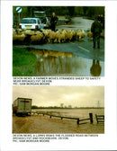 Flood - Vintage Photograph