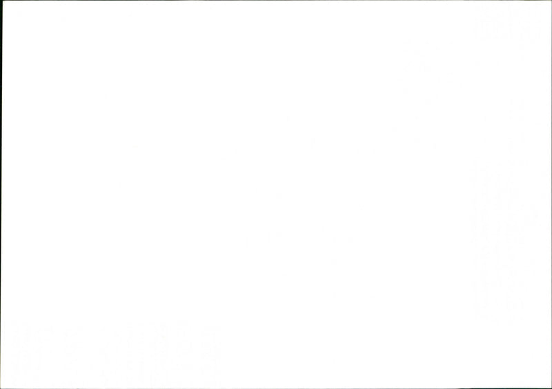 Flood - Vintage Photograph