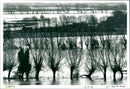 Floods '92 - Vintage Photograph