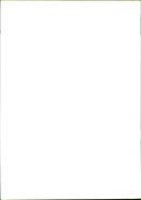 Basketball - Vintage Photograph