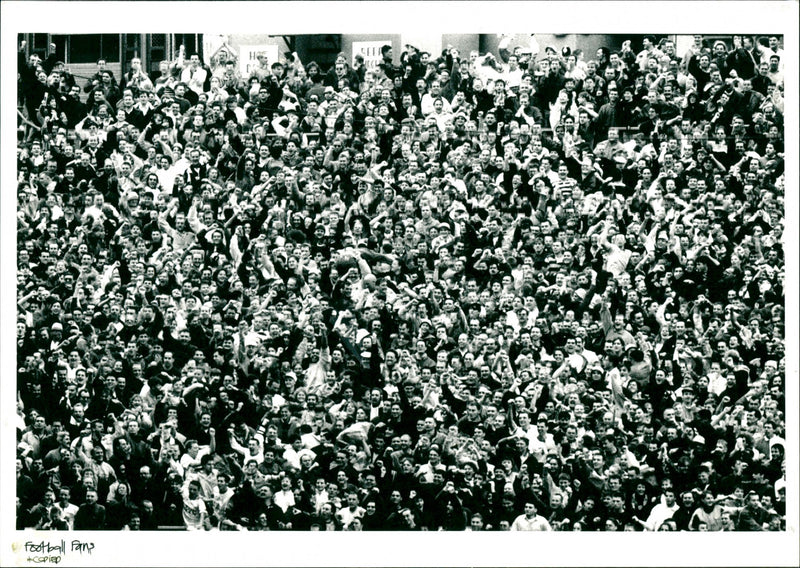 Football Fans - Vintage Photograph