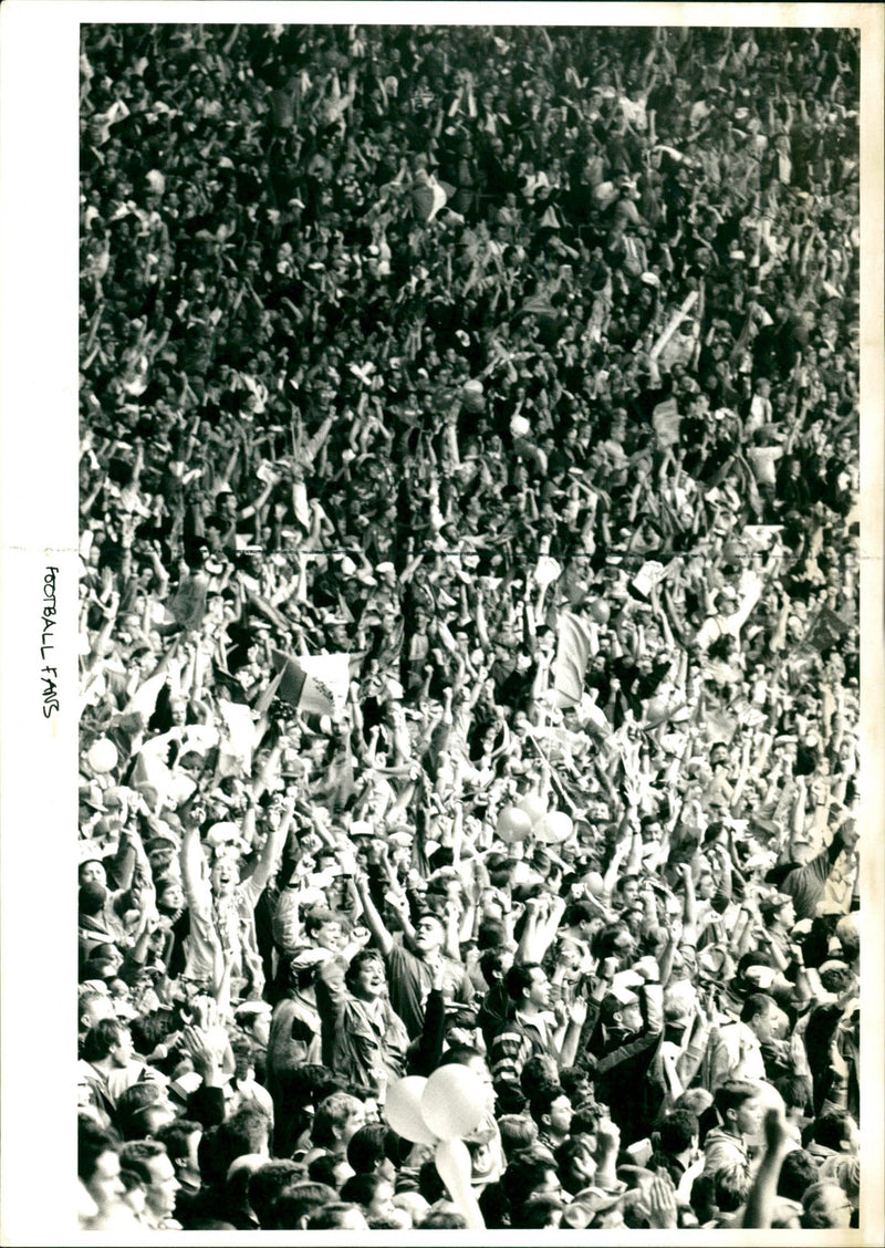 Football Fans - Vintage Photograph