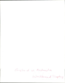 Australia Rugby - Vintage Photograph