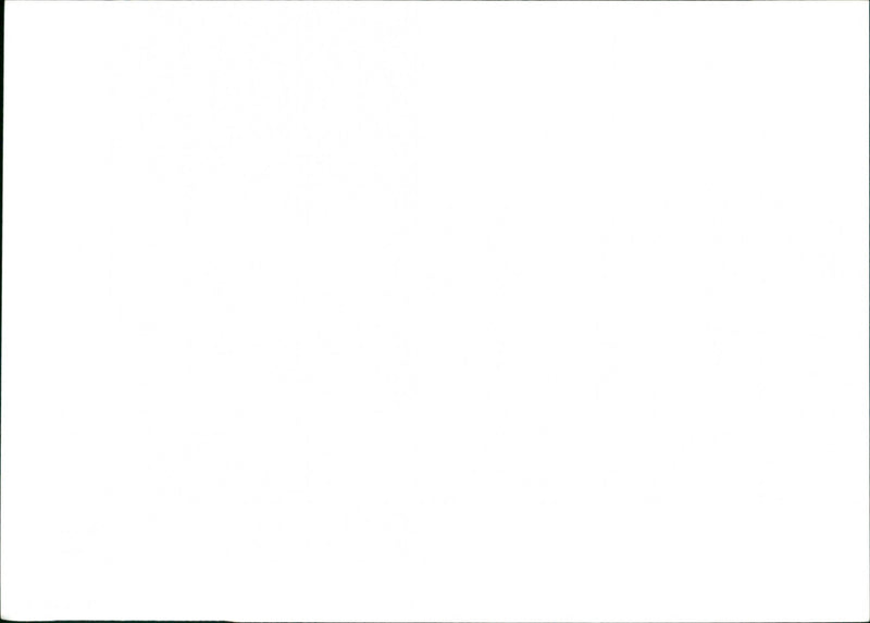 The Beatles - Vintage Photograph