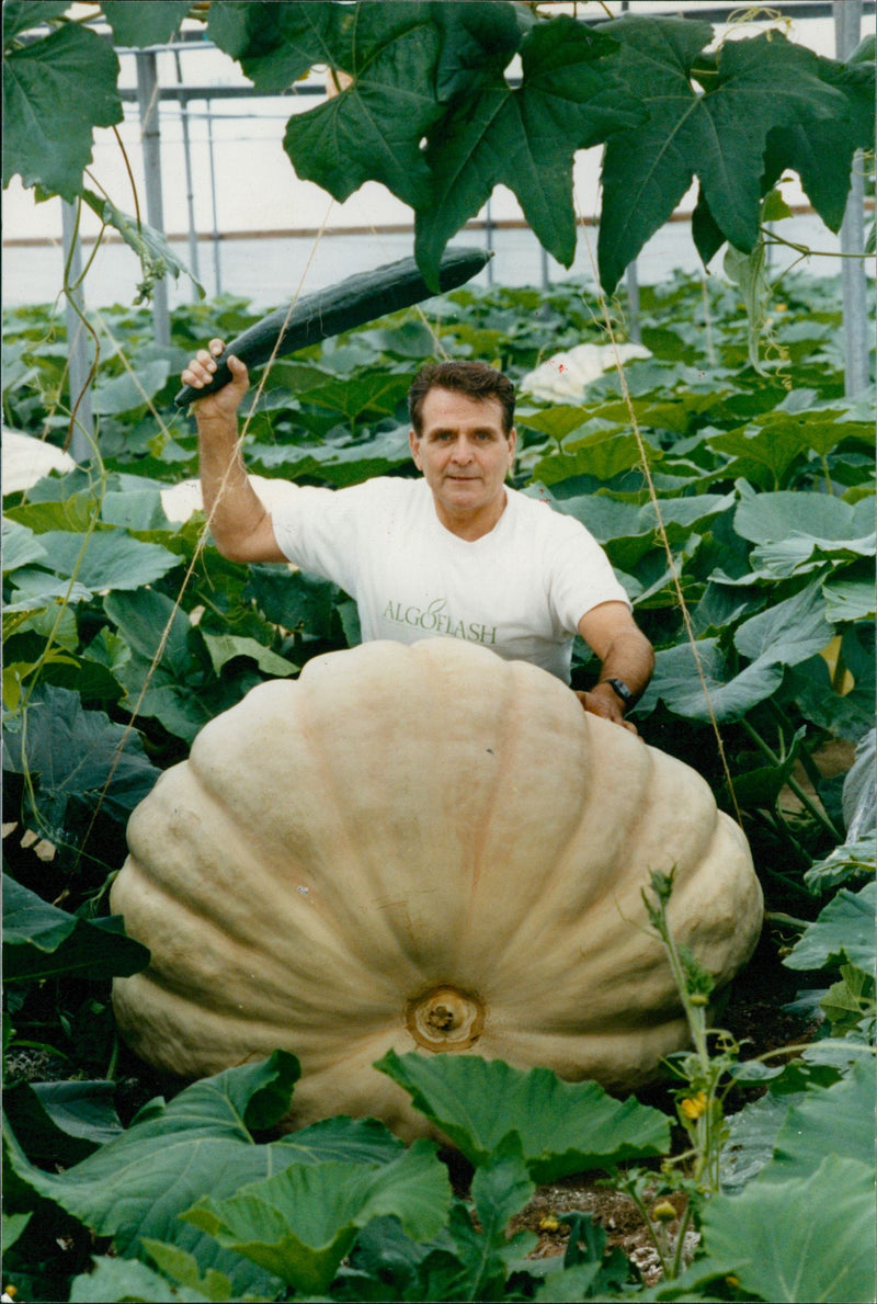 Bernard Lavery - Vintage Photograph