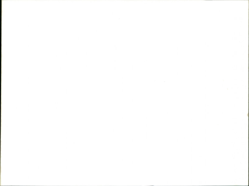 Sting - Vintage Photograph